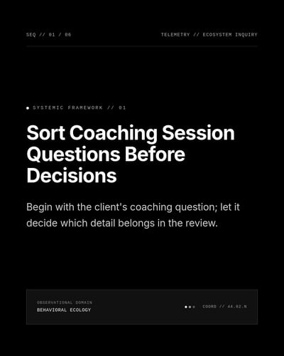 Particle Eclipse — Coaches template preview